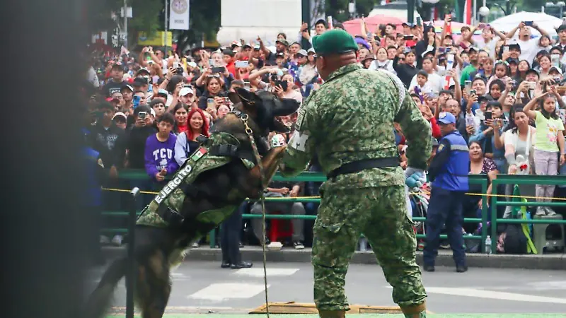 Desfile militar 2025